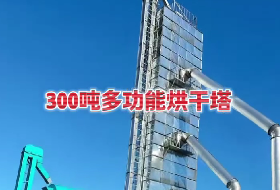 300吨烘干塔